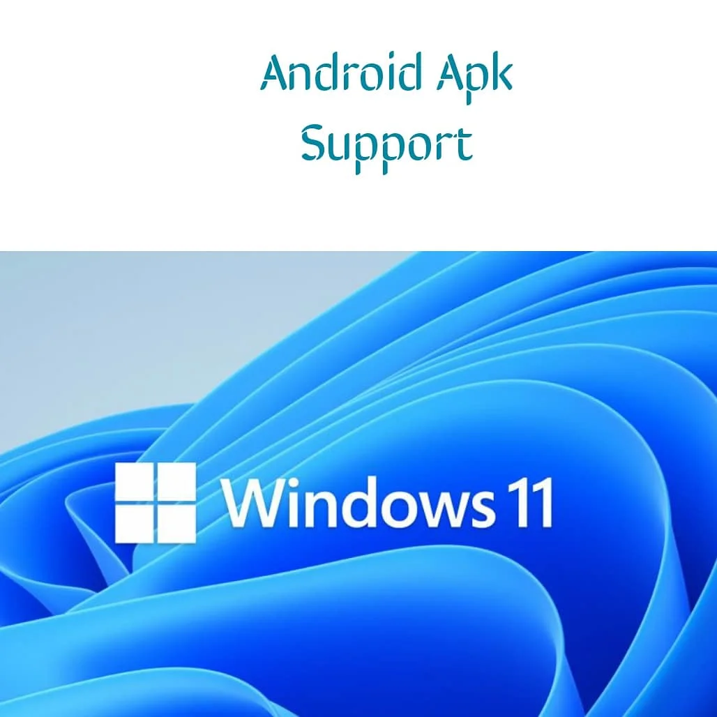 download window 11