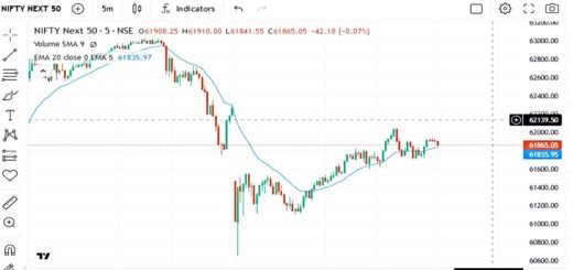 Nifty Next 50 Index Futures and Options